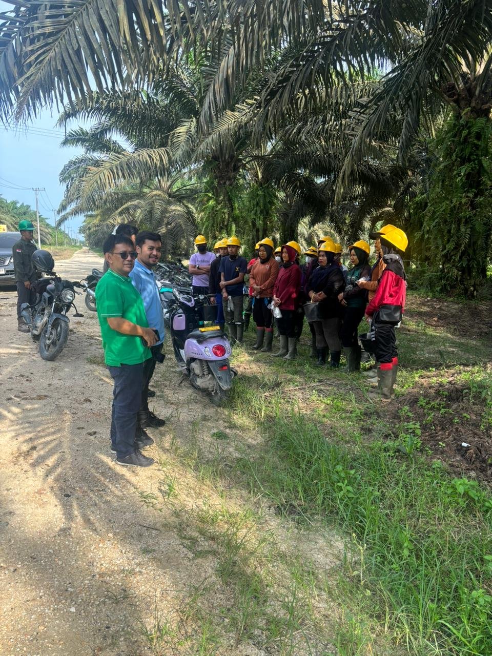 Tim Satu